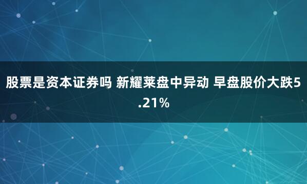 股票是资本证券吗 新耀莱盘中异动 早盘股价大跌5.21%