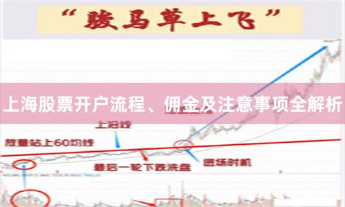 上海股票开户流程、佣金及注意事项全解析