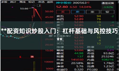 **配资知识炒股入门：杠杆基础与风控技巧**