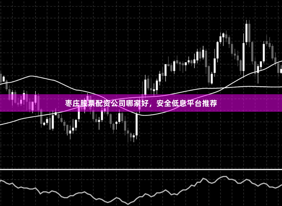 枣庄股票配资公司哪家好，安全低息平台推荐
